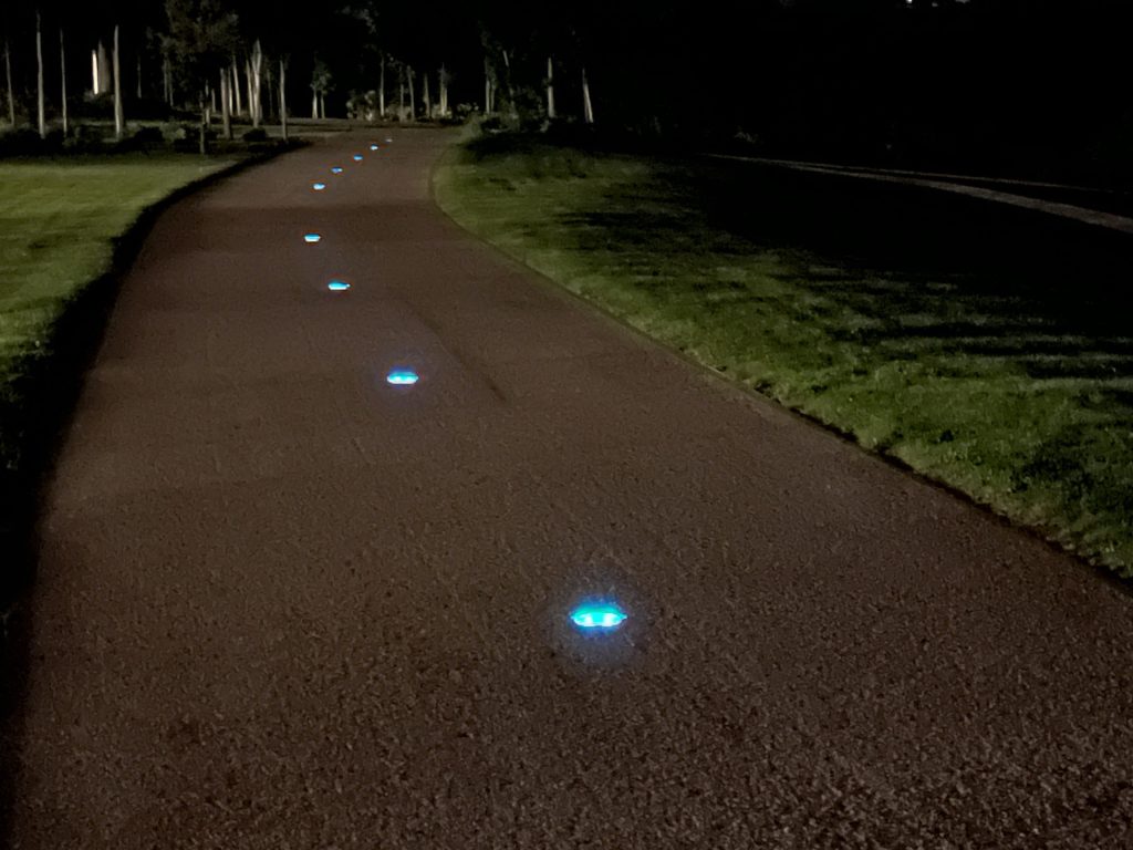 path in the park with guiding lights