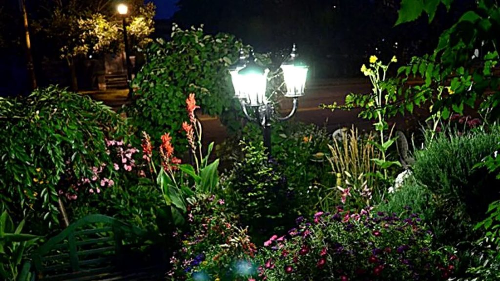 highlighting focal points in the green spaces