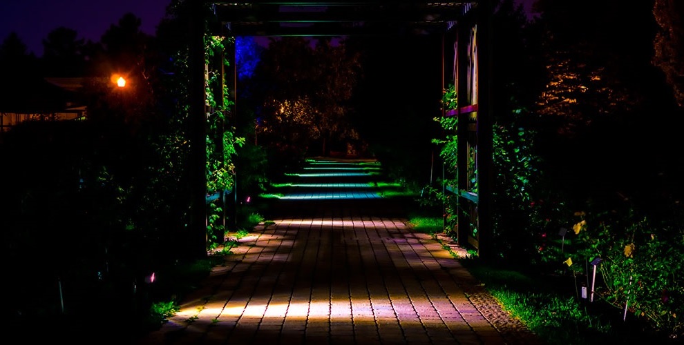accent lighting in a garden