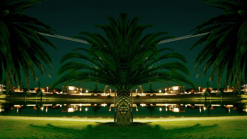 palm trees and buildings with landscape decorative lighting