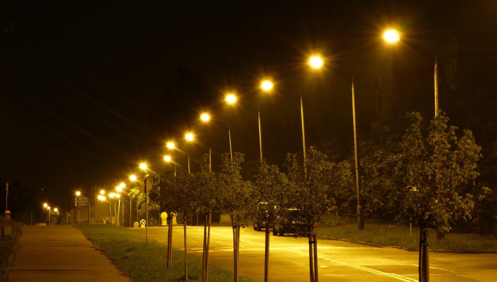 street with landscape downlighting