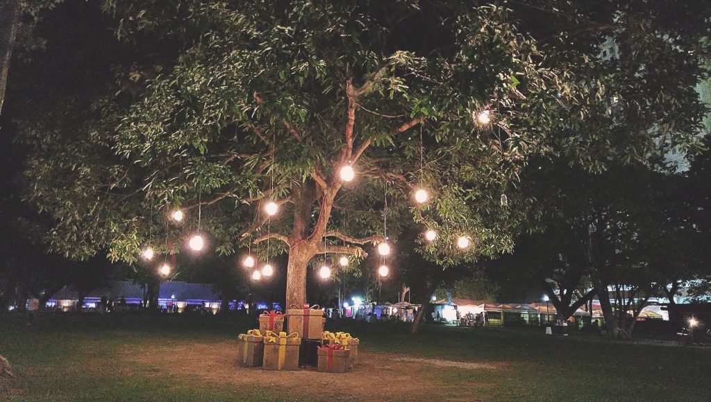 landscape hanging lighting in a tree