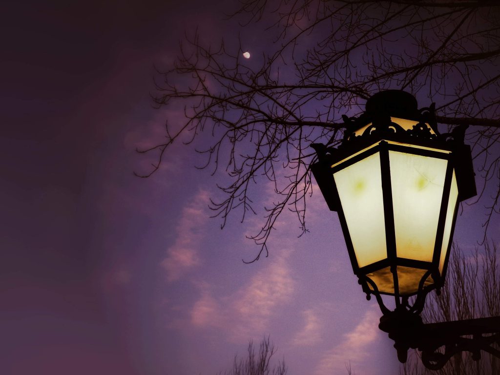landscape lantern lights