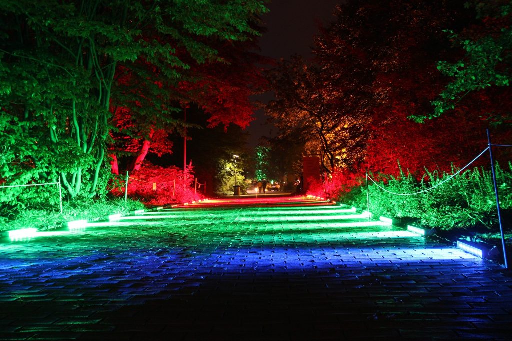 landscape pathway lighting