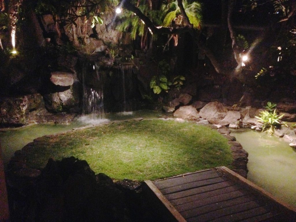 landscape spot lighting on the pond