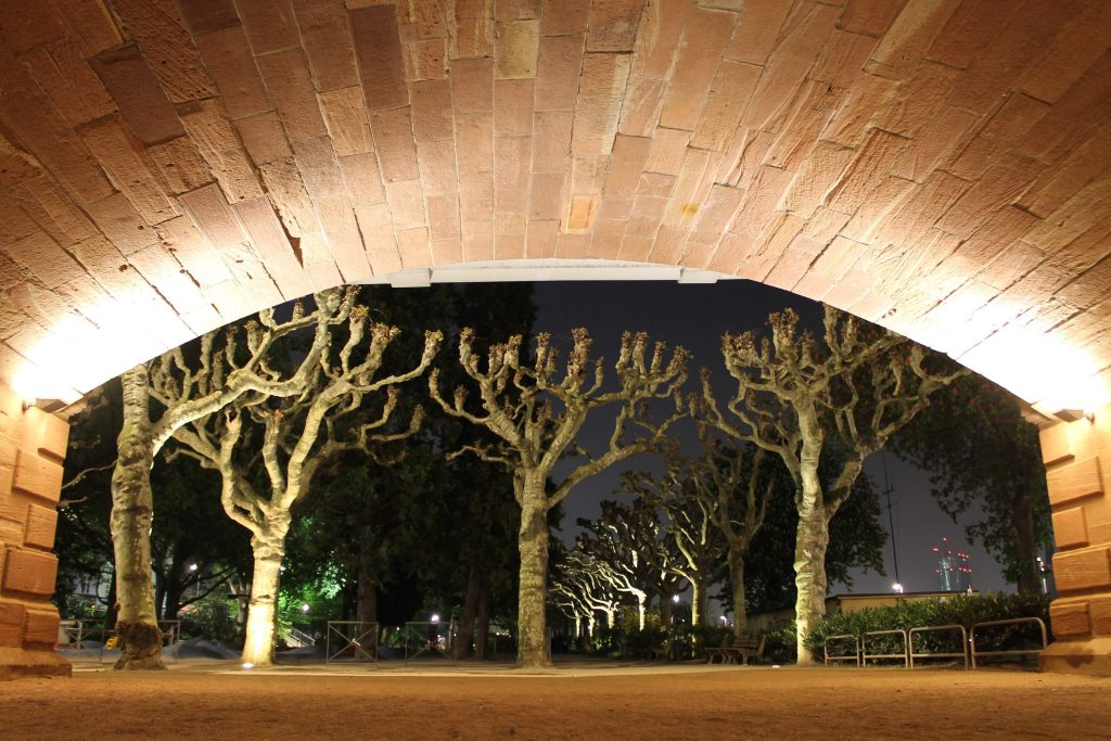 archway and trees illuminated with uplighting