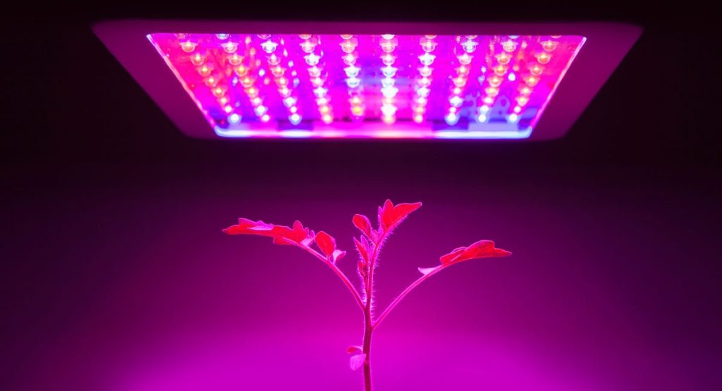led growth lights