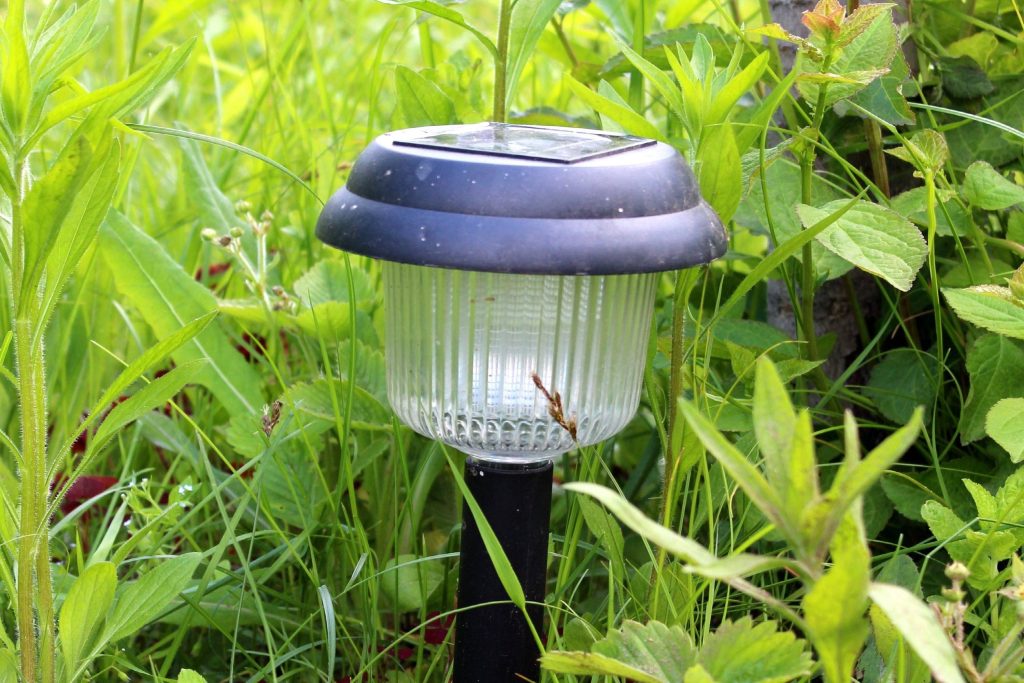 solar light in the garden