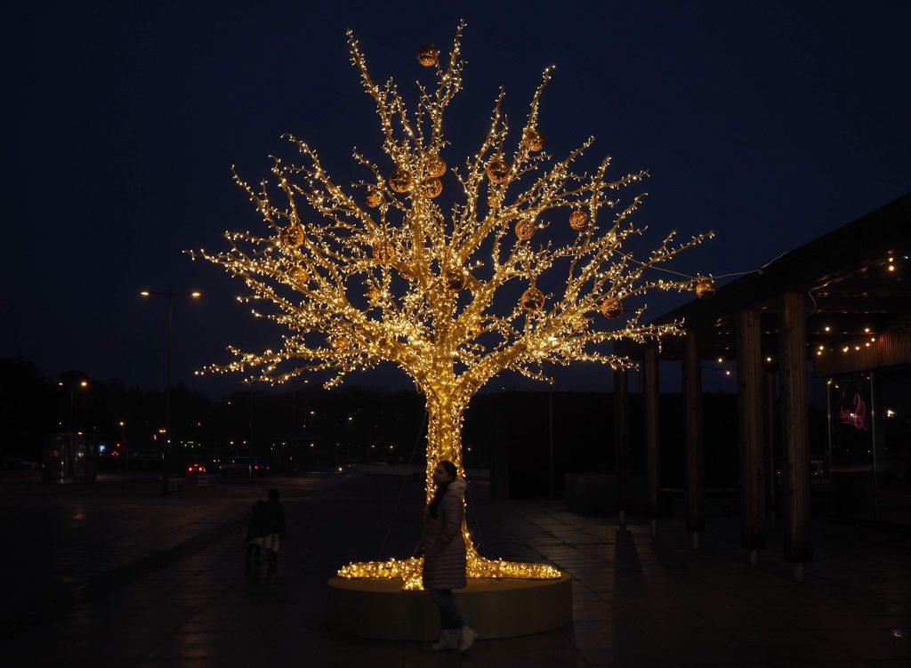 tree with decorative lighting