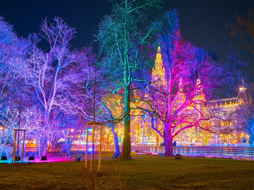 floodlights on trees and buildings