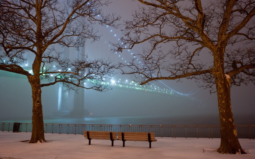 hanging night lights on the bridge behind the trees