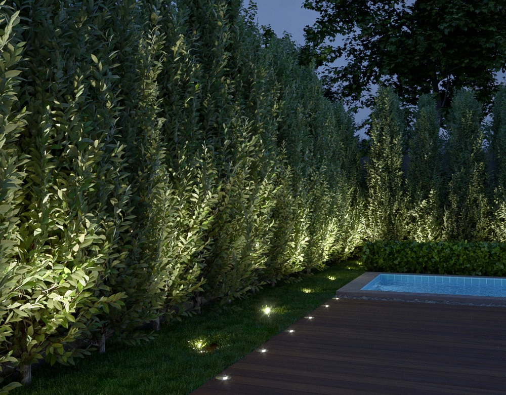 in-ground up-lights in a garden