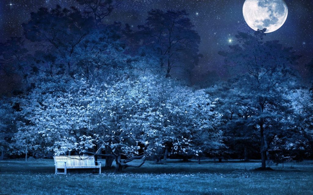 night landscape with trees and moon