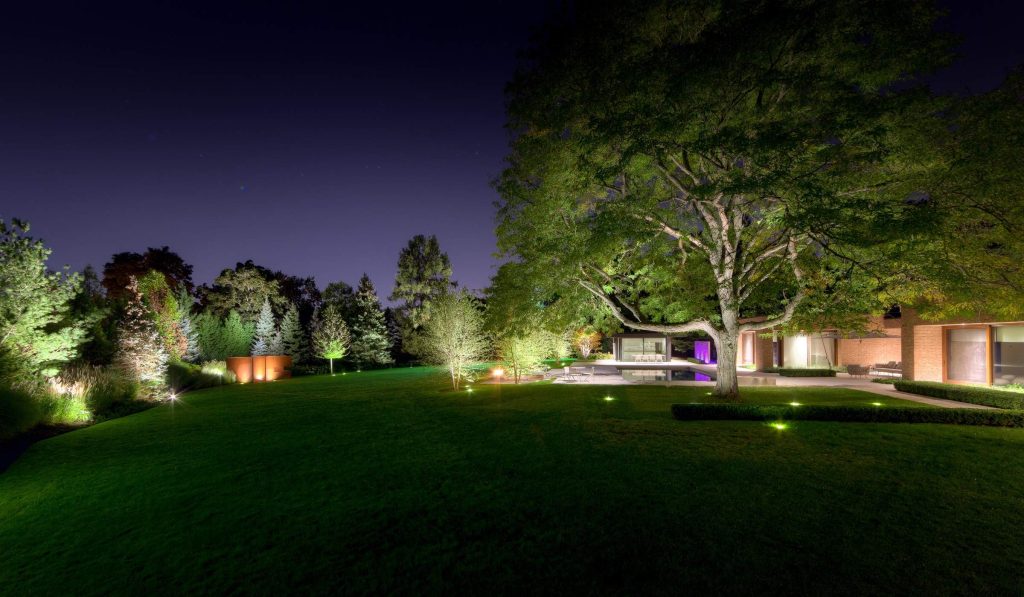 landscape ambient uplighting in a yard