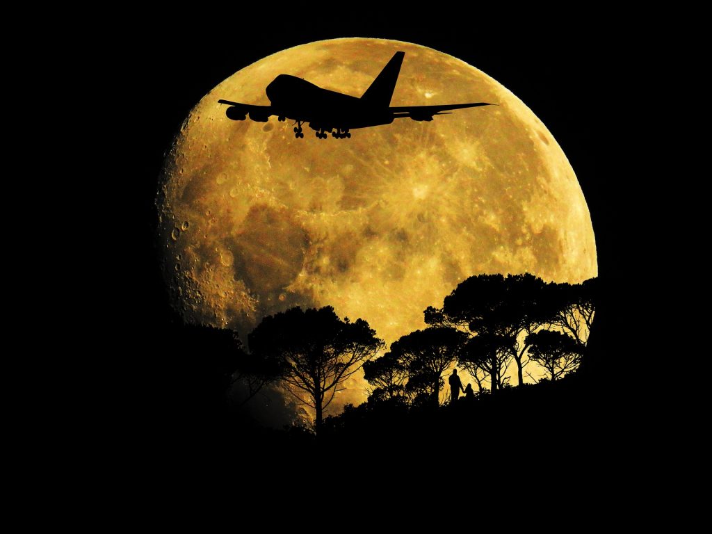 airplane and trees backlit by moonlight
