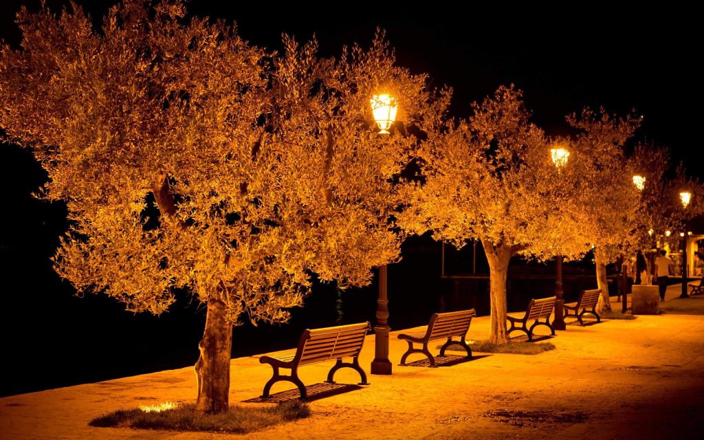 street benches, trees and lamps lit at night