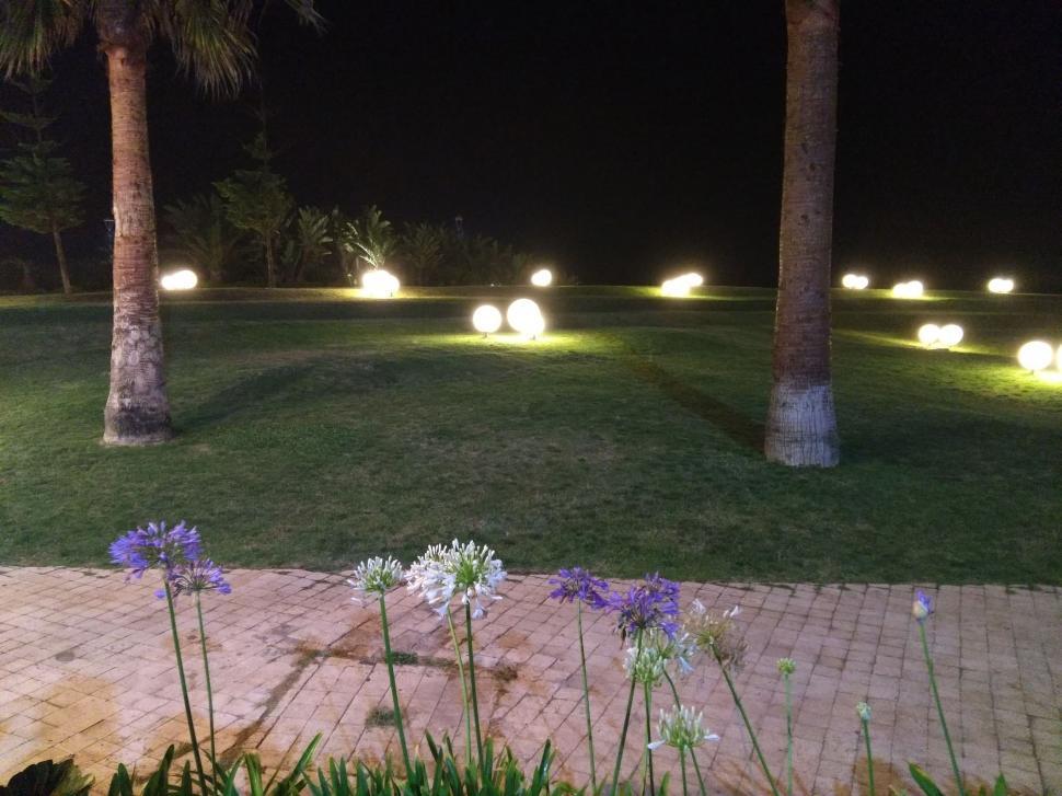 landscape decorative uplighting in the park