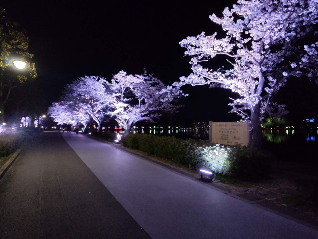 promenade with led uplighting on trees
