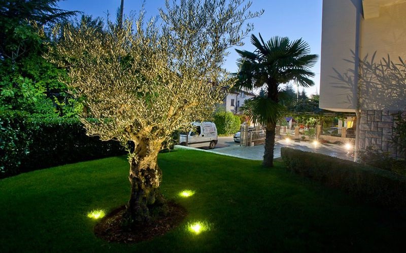 landscape cross lighting on a tree in the yard