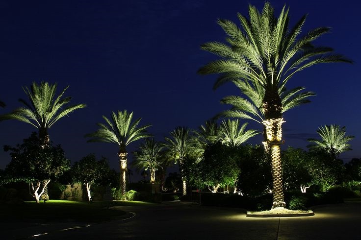 landscape cross lighting on palm trees