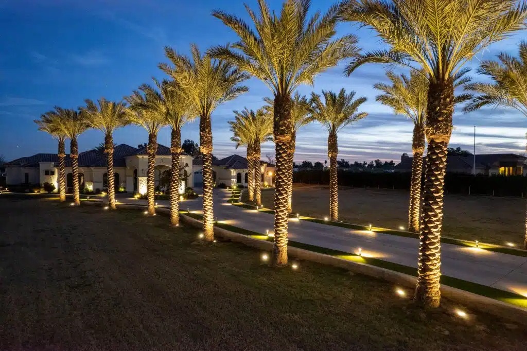 landscape cross uplighting on palm trees with in-ground well lights