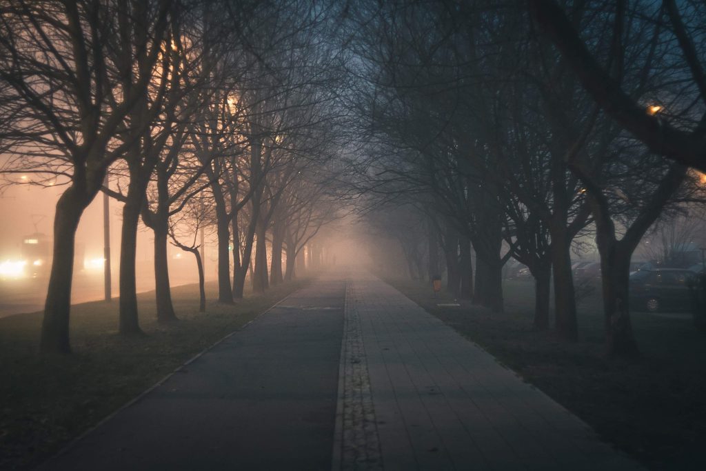 pathway with side backlights