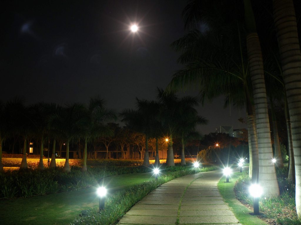 pathway lights in the park