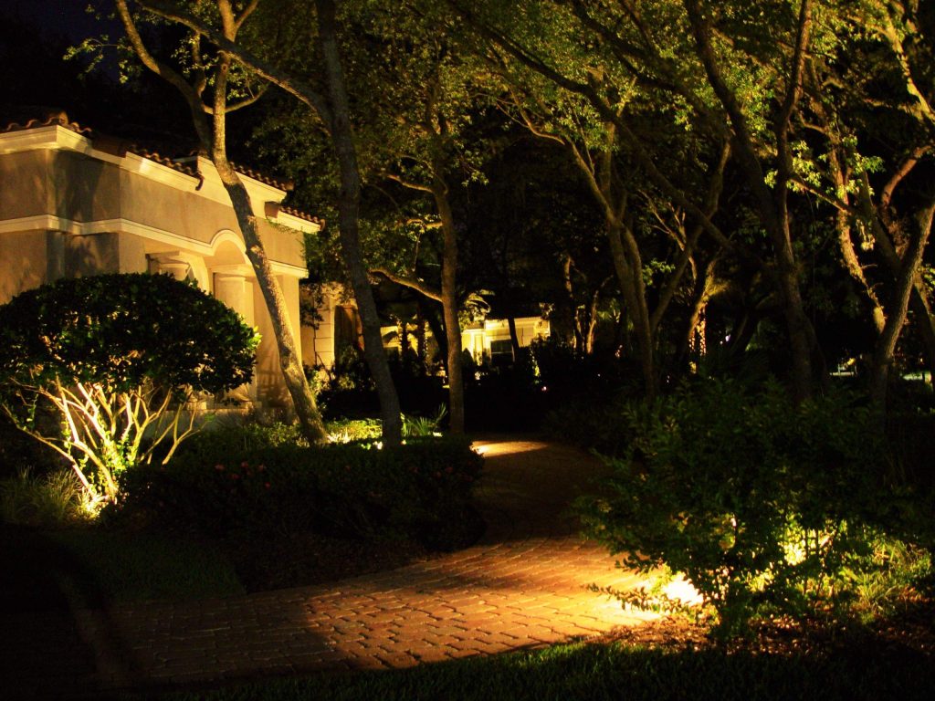 pathway up-lights in the park
