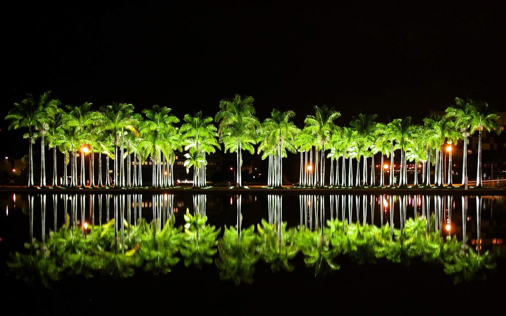 landscape cross uplighting on palm trees with in-ground well lights