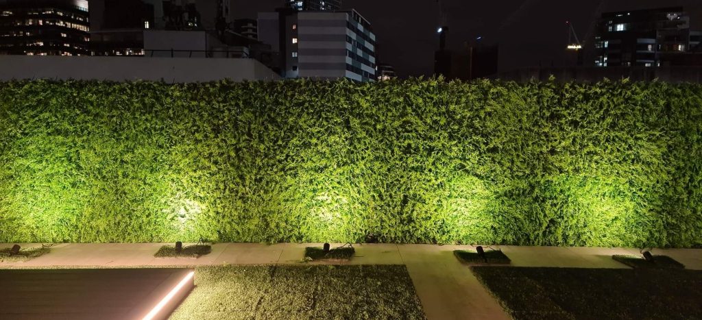 up-lighting a hedge