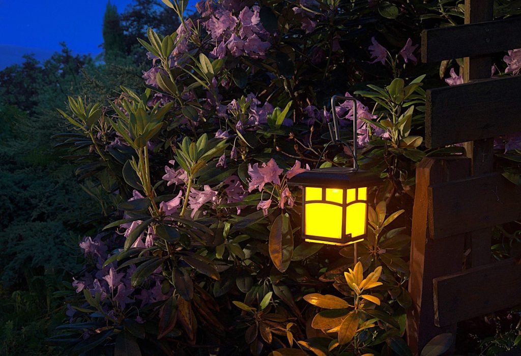 lantern in the garden