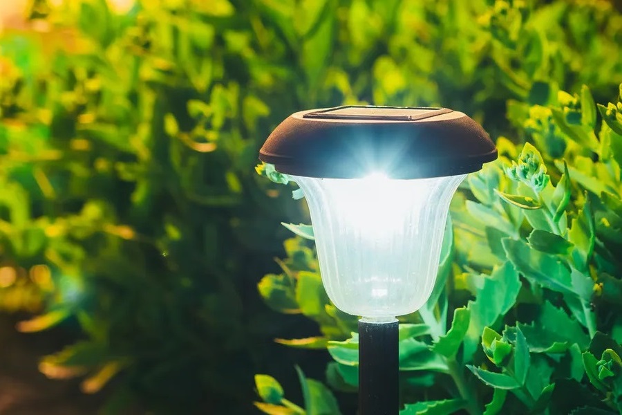 solar light in the garden