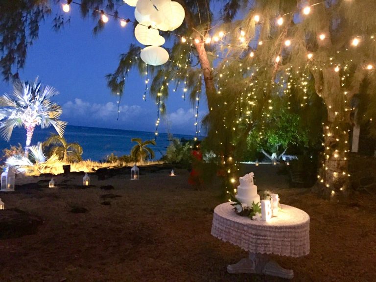 strings of lights in the enchanted garden