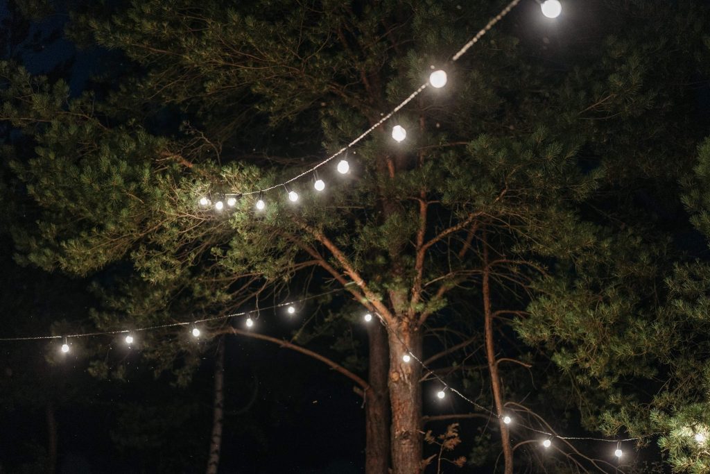 garden string lights; how to hang outdoor string lights from house to tree