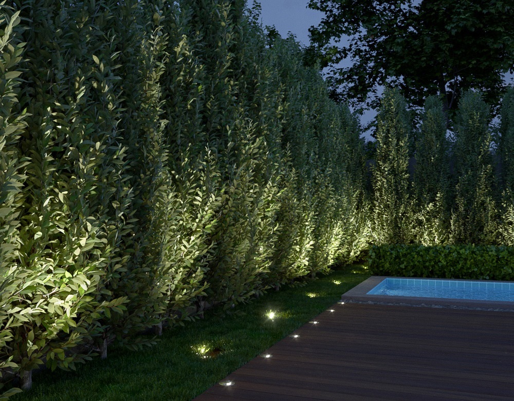 in-ground well up-lights on the hedge