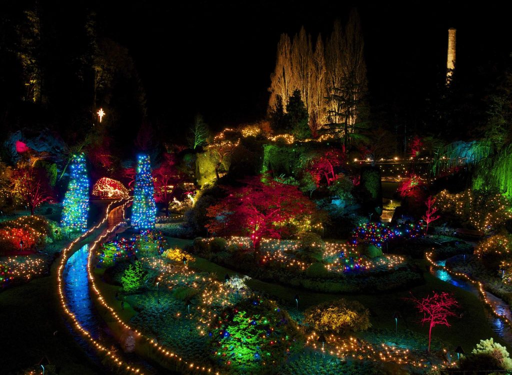 landscape backyard lighting