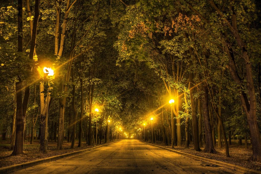 landscape flood lighting in the park