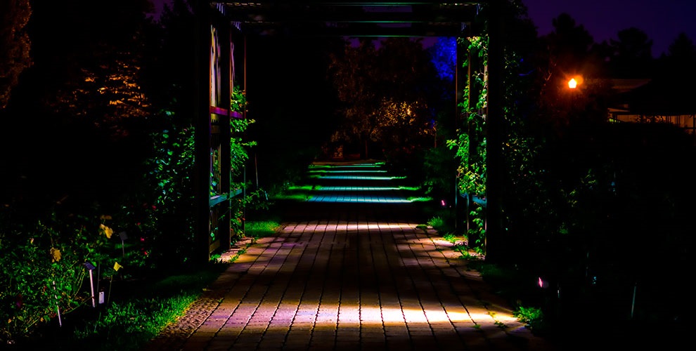 garden accent lighting