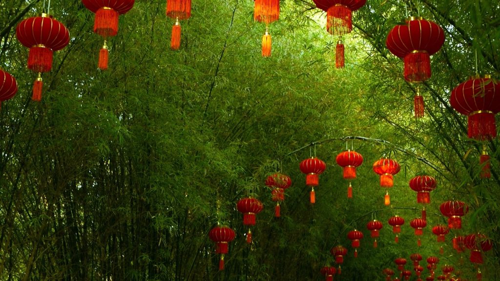 lantern rows in the garden