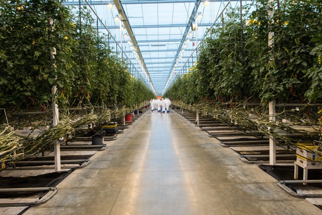 modern integrated greenhouse
