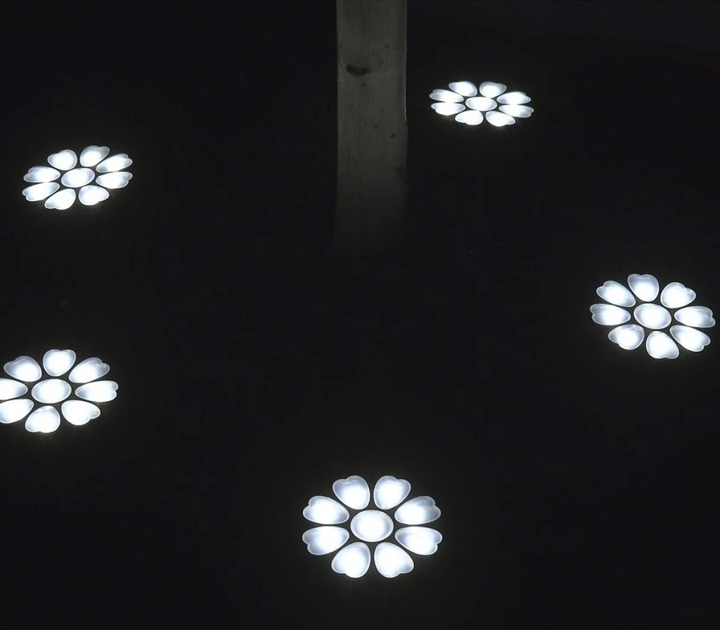 solar flower lights
