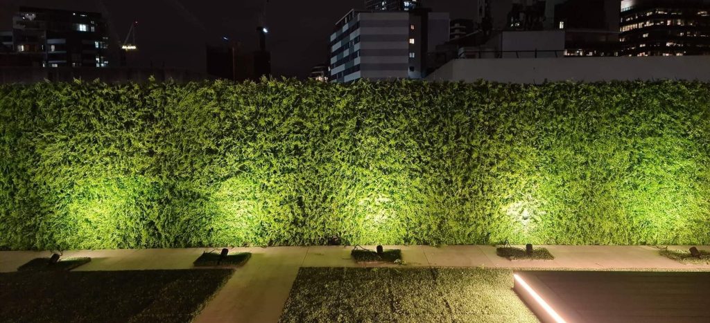 wall wash lighting on a hedge
