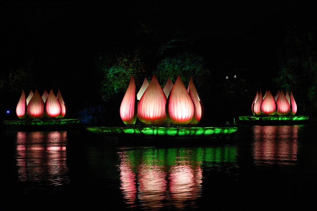 water floating lights
