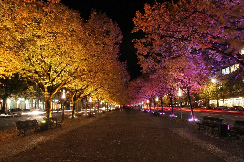 colored uplights on the trees