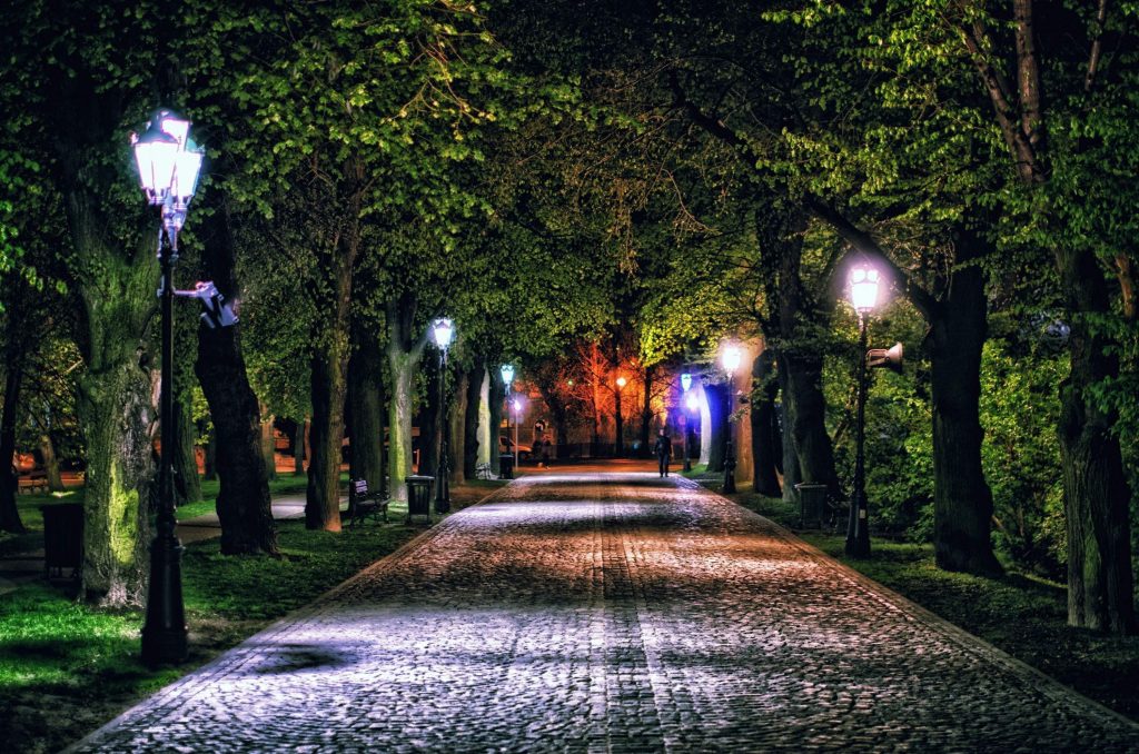landscape accent lighting for trees
