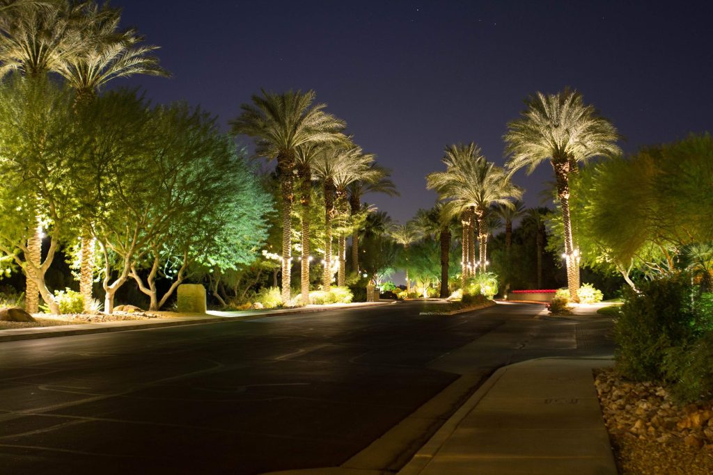 landscape lights for palm trees; how to install landscape lighting in trees