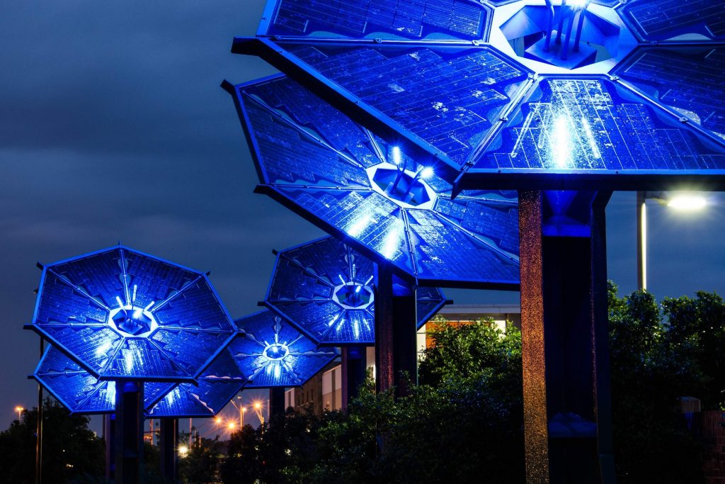 landscape solar lights