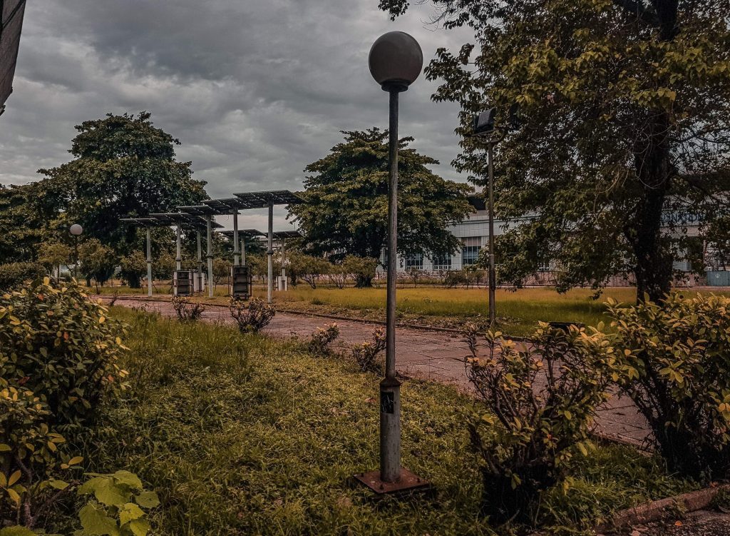 landscape solar lights for trees