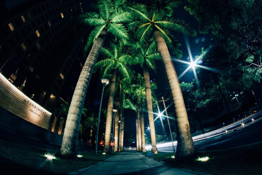 landscape spot accent lighting