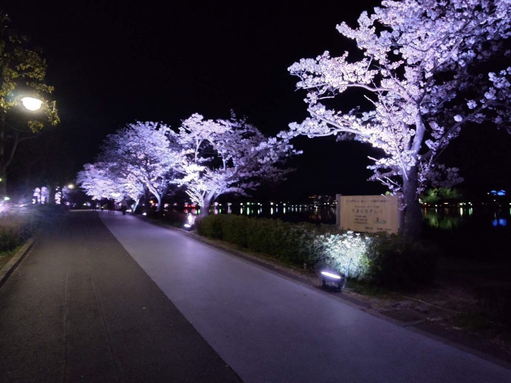 landscape spot lighting